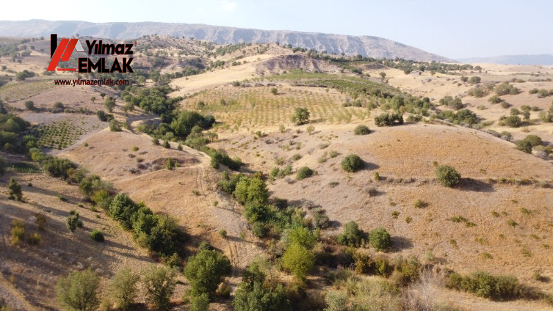 YILMAZ EMLAK'TAN TAŞLICA (ŞAMÜK) KÖYÜNDE SATILIK 54.378 m² KELEPİR TARLA