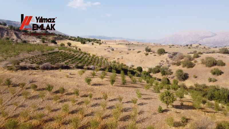YILMAZ EMLAK'TAN TAŞLICA (ŞAMÜK) KÖYÜNDE SATILIK 54.378 m² KELEPİR TARLA
