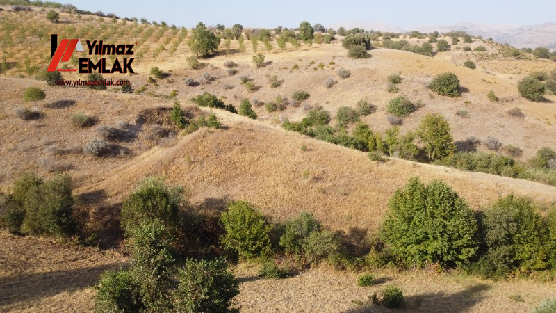 YILMAZ EMLAK'TAN TAŞLICA (ŞAMÜK) KÖYÜNDE SATILIK 54.378 m² KELEPİR TARLA