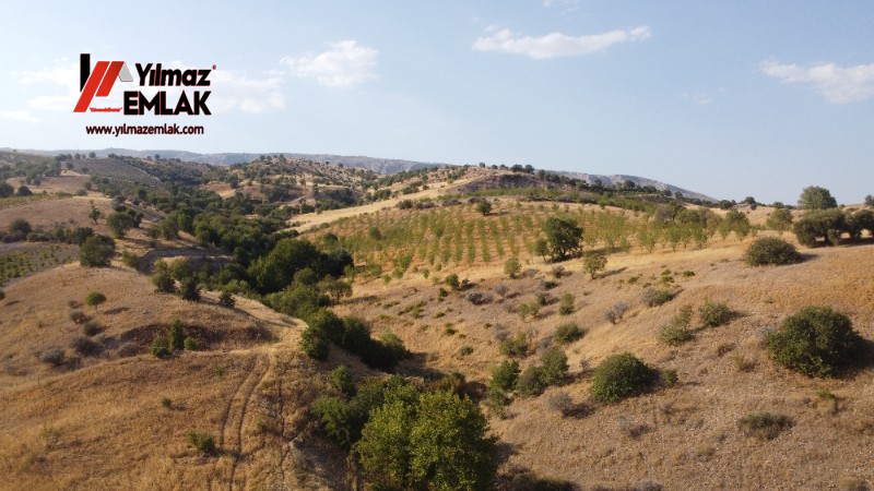 YILMAZ EMLAK'TAN TAŞLICA (ŞAMÜK) KÖYÜNDE SATILIK 54.378 m² KELEPİR TARLA