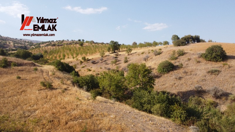 YILMAZ EMLAK'TAN TAŞLICA (ŞAMÜK) KÖYÜNDE SATILIK 54.378 m² KELEPİR TARLA
