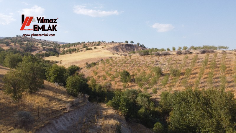 YILMAZ EMLAK'TAN TAŞLICA (ŞAMÜK) KÖYÜNDE SATILIK 54.378 m² KELEPİR TARLA