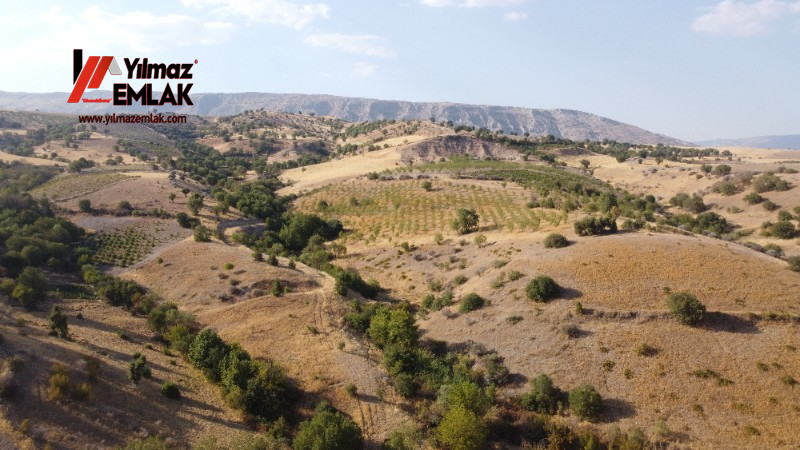 YILMAZ EMLAK'TAN TAŞLICA (ŞAMÜK) KÖYÜNDE SATILIK 54.378 m² KELEPİR TARLA