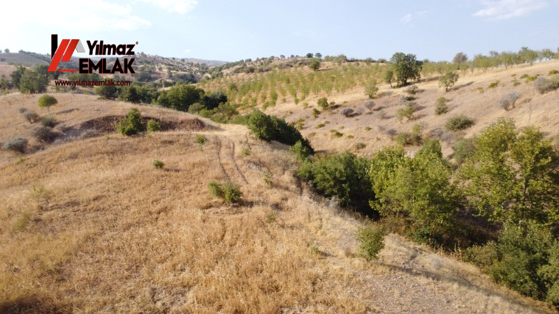 YILMAZ EMLAK'TAN TAŞLICA (ŞAMÜK) KÖYÜNDE SATILIK 54.378 m² KELEPİR TARLA