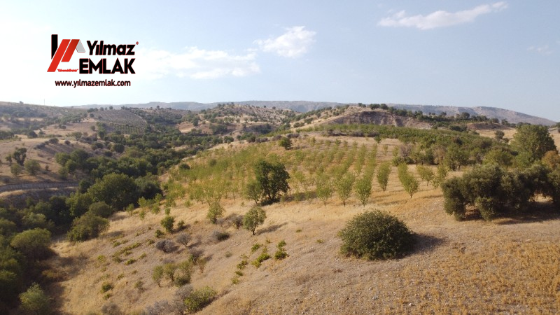 YILMAZ EMLAK'TAN TAŞLICA (ŞAMÜK) KÖYÜNDE SATILIK 54.378 m² KELEPİR TARLA