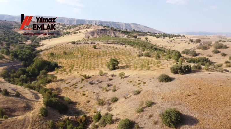 YILMAZ EMLAK'TAN TAŞLICA (ŞAMÜK) KÖYÜNDE SATILIK 54.378 m² KELEPİR TARLA