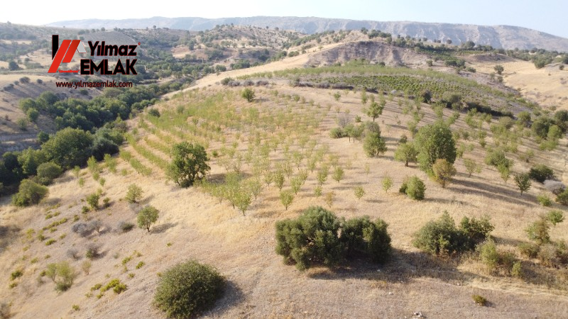 YILMAZ EMLAK'TAN TAŞLICA (ŞAMÜK) KÖYÜNDE SATILIK 54.378 m² KELEPİR TARLA