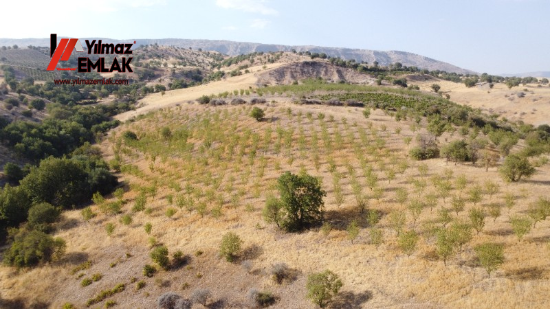 YILMAZ EMLAK'TAN TAŞLICA (ŞAMÜK) KÖYÜNDE SATILIK 54.378 m² KELEPİR TARLA