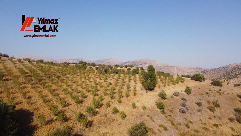YILMAZ EMLAK'TAN TAŞLICA (ŞAMÜK) KÖYÜNDE SATILIK 54.378 m² KELEPİR TARLA