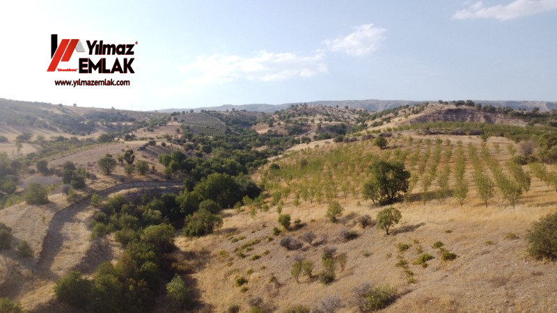YILMAZ EMLAK'TAN TAŞLICA (ŞAMÜK) KÖYÜNDE SATILIK 54.378 m² KELEPİR TARLA