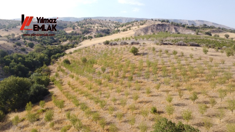 YILMAZ EMLAK'TAN TAŞLICA (ŞAMÜK) KÖYÜNDE SATILIK 54.378 m² KELEPİR TARLA