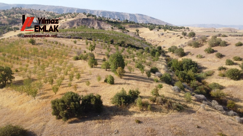 YILMAZ EMLAK'TAN TAŞLICA (ŞAMÜK) KÖYÜNDE SATILIK 54.378 m² KELEPİR TARLA