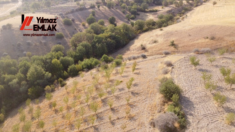 YILMAZ EMLAK'TAN TAŞLICA (ŞAMÜK) KÖYÜNDE SATILIK 54.378 m² KELEPİR TARLA