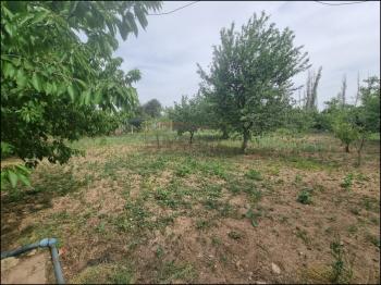 Güvenay - Çorum Buharaevler – İbrahim Çayırı Mevkii – 1.948 m² Müstakil Bağ