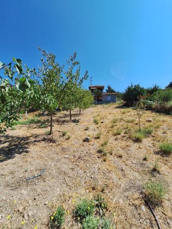 GÜVENAY - ÇORUM BAHÇELİEVLER MAHALLESİ MELİKGAZİ BAĞLARI SATILIK HOBİ BAHÇESİ 