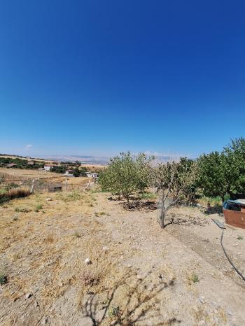 GÜVENAY - ÇORUM BAHÇELİEVLER MAHALLESİ MELİKGAZİ BAĞLARI SATILIK HOBİ BAHÇESİ 