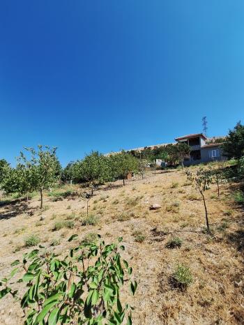 GÜVENAY - ÇORUM BAHÇELİEVLER MAHALLESİ MELİKGAZİ BAĞLARI SATILIK HOBİ BAHÇESİ 