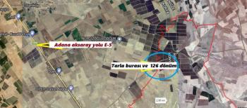 ULUKIŞLA  ALPAGUTTA  2 ADET YANYANA   992 