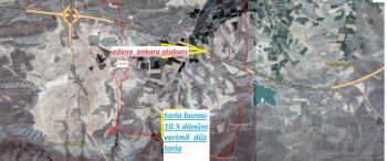 ULUKIŞLA  OVACIK KÖYÜNDE  büyük mera yanı 10.5  DÖNÜM SATILIK TARLA 