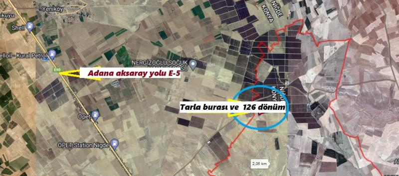 ULUKIŞLA  ALPAGUTTA  2 ADET YANYANA   992 