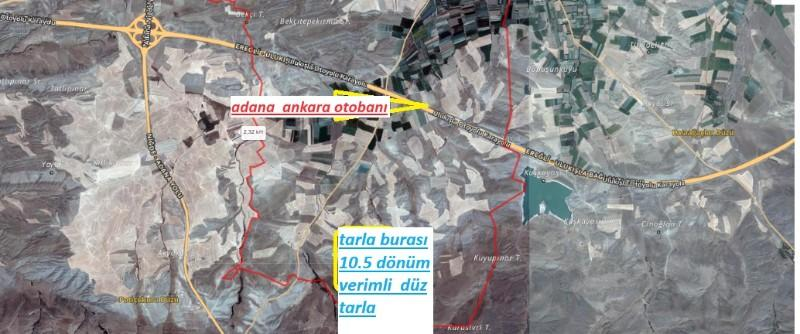 ULUKIŞLA  OVACIK KÖYÜNDE  büyük mera yanı 10.5  DÖNÜM SATILIK TARLA 