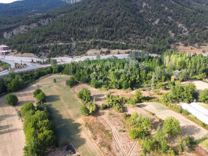 Taraklı Merkez de Satılık Bahçe