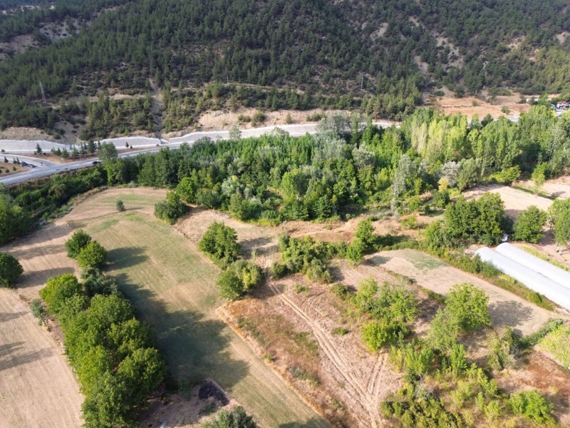 Taraklı Merkez de Satılık Bahçe