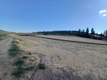GÜVENAY - ÇORUM MERKEZ  SARMAŞA KÖYÜ MEVKİ TEK TAPU KÖŞE BAŞI SATILIK ARSA