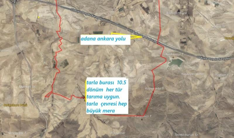 ULUKIŞLA  OVACIK KÖYÜNDE  büyük mera yanı 10.5  DÖNÜM SATILIK TARLA 