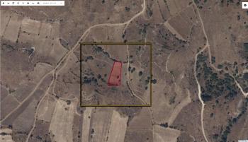 AFYON ÜÇOK EMLAKTAN SARIK DA SATILIK 2.055M² BÜYÜKLÜĞÜNDE TARLA