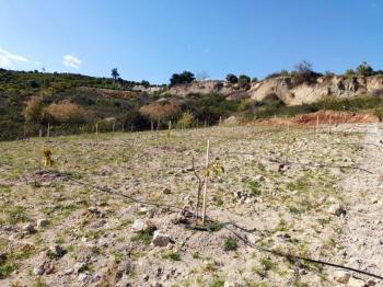 ASLAN'DAN KIZILBAĞ'DA 11.580 M2 YOL CEPHELİ SATILIK TARLA