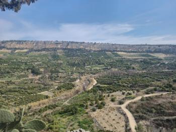 ASLAN'DAN KIZILBAĞ'DA 11.580 M2 YOL CEPHELİ SATILIK TARLA