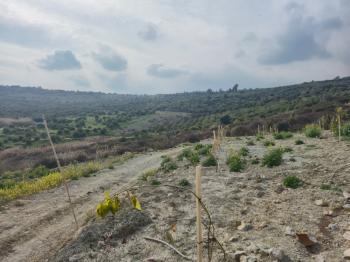 ASLAN'DAN KIZILBAĞ'DA 11.580 M2 YOL CEPHELİ SATILIK TARLA