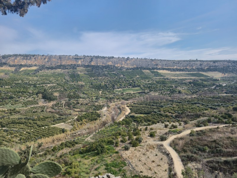 ASLAN'DAN KIZILBAĞ'DA 11.580 M2 YOL CEPHELİ SATILIK TARLA