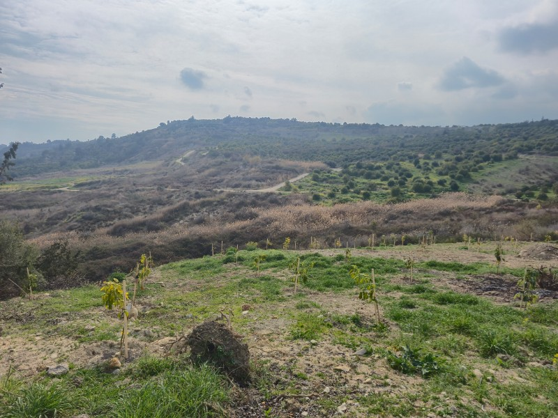 ASLAN'DAN KIZILBAĞ'DA 11.580 M2 YOL CEPHELİ SATILIK TARLA