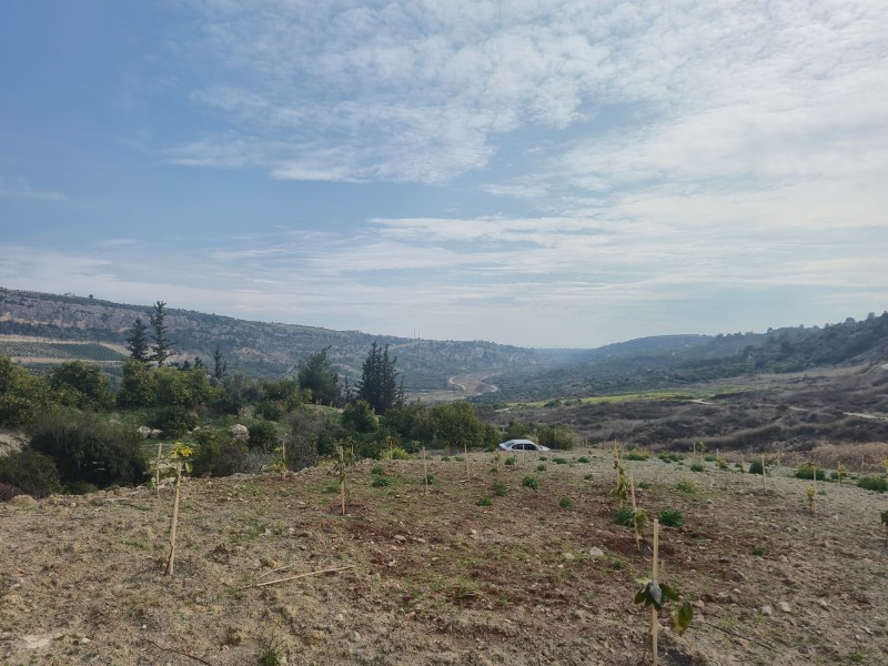 ASLAN'DAN KIZILBAĞ'DA 11.580 M2 YOL CEPHELİ SATILIK TARLA