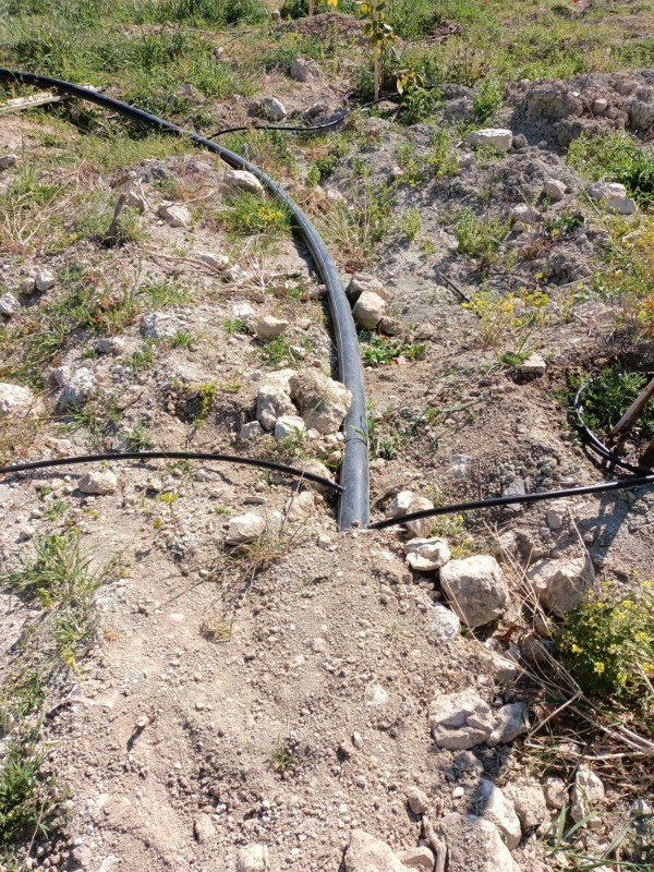 ASLAN'DAN KIZILBAĞ'DA 11.580 M2 YOL CEPHELİ SATILIK TARLA