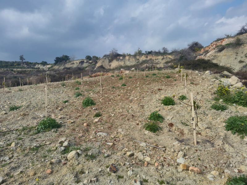 ASLAN'DAN KIZILBAĞ'DA 11.580 M2 YOL CEPHELİ SATILIK TARLA