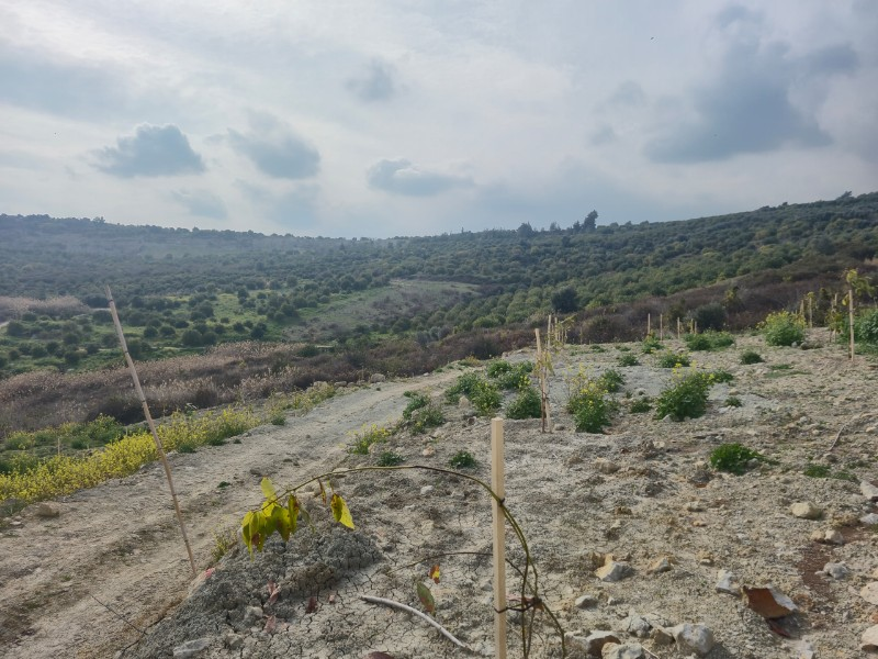 ASLAN'DAN KIZILBAĞ'DA 11.580 M2 YOL CEPHELİ SATILIK TARLA