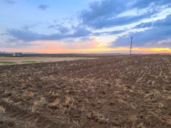 Karatlı  Hüyük  Çarıklı üçgeninde  14.5 dönüm satılık tarla.