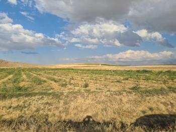 Karatlı  Hüyük  Çarıklı üçgeninde  14.5 dönüm satılık tarla.