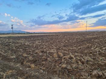 Karatlı  Hüyük  Çarıklı üçgeninde  14.5 dönüm satılık tarla.