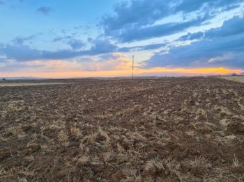 Karatlı  Hüyük  Çarıklı üçgeninde  14.5 dönüm satılık tarla.
