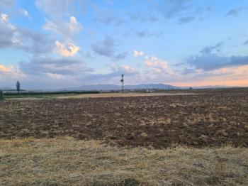 Karatlı  Hüyük  Çarıklı üçgeninde  14.5 dönüm satılık tarla.