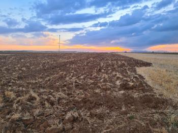 Karatlı  Hüyük  Çarıklı üçgeninde  14.5 dönüm satılık tarla.