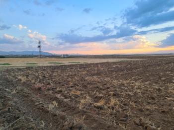 Karatlı  Hüyük  Çarıklı üçgeninde  14.5 dönüm satılık tarla.