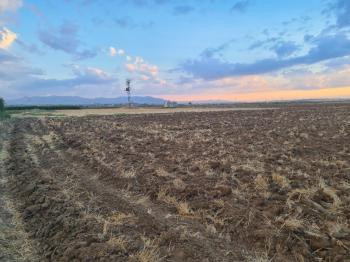 Karatlı  Hüyük  Çarıklı üçgeninde  14.5 dönüm satılık tarla.