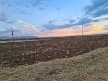 Karatlı  Hüyük  Çarıklı üçgeninde  14.5 dönüm satılık tarla.