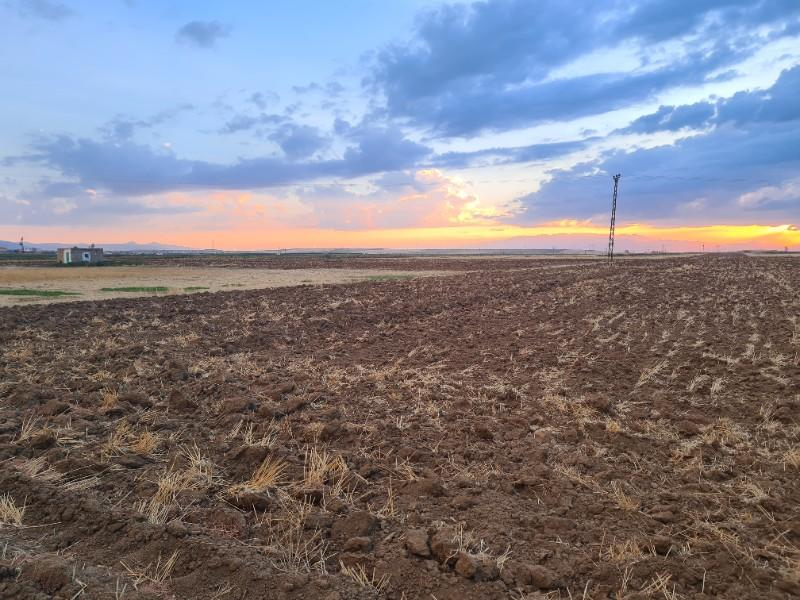 Karatlı  Hüyük  Çarıklı üçgeninde  14.5 dönüm satılık  tarla.