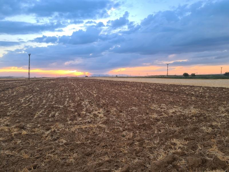 Karatlı  Hüyük  Çarıklı üçgeninde  14.5 dönüm satılık  tarla.